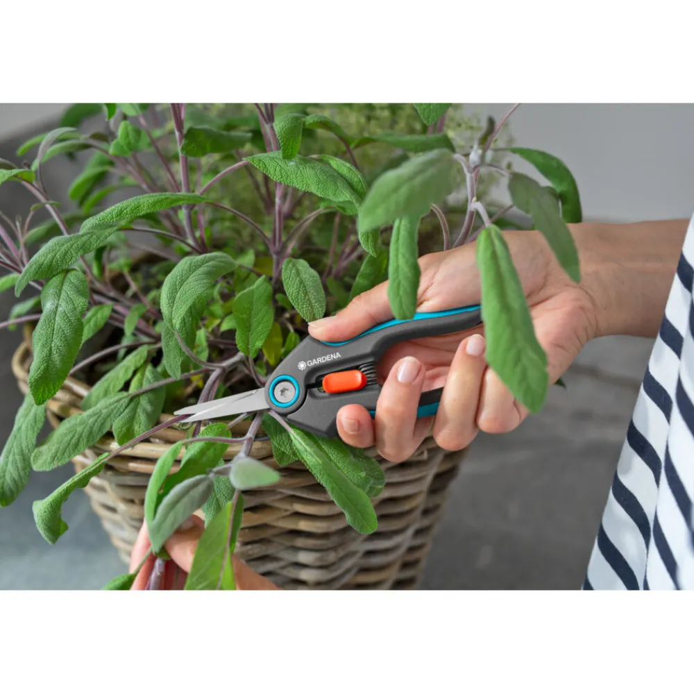 Best FreshCut FreshCut Tuingereedschap