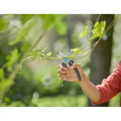 Best Snoeischaar Ecoline Tuingereedschap