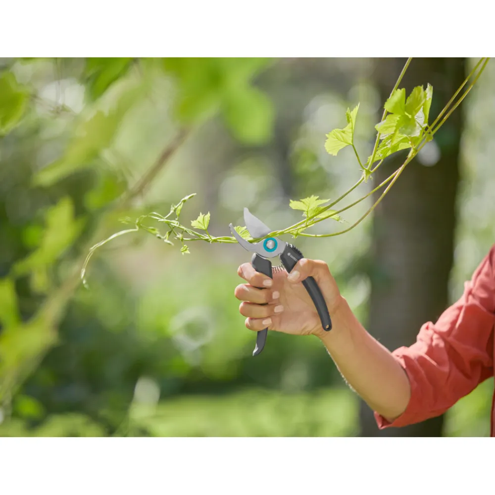 Best Snoeischaar Ecoline Tuingereedschap