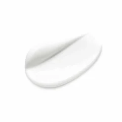 Dag- & Nachtcrème<Garnier SkinActive Rozenwater Botanische Dagcrème 50 ml