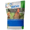 Kip<Garvo Scharrel Legkorrel 20 kg