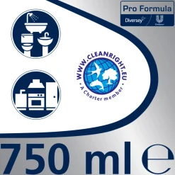 Clearance Voegenreiniger Pro Formula 750 ml Professioneel Schoonmaakmiddel|Badkamerartikelen