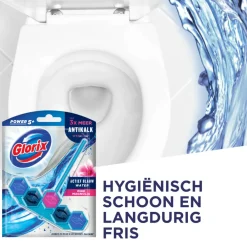 Toiletartikelen<Glorix Toiletblok Blauw Water Pink Magnolia