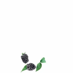 Conditioner<Guhl Conditioner Long & Loving It 200 ml