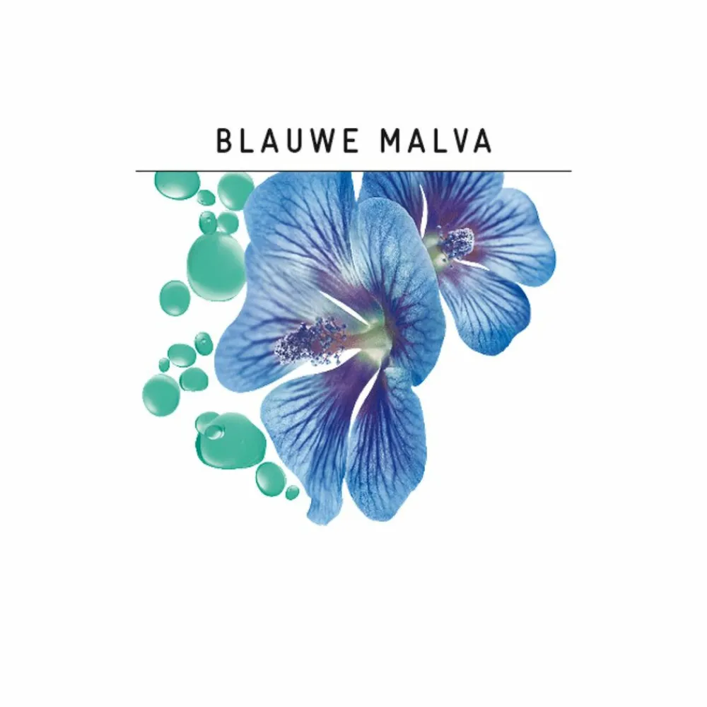 Shampoo<Guhl Shampoo Anti Roos 250 ml