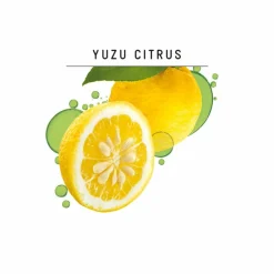 Shampoo Fris & Luchtig 250 ml^Guhl Outlet