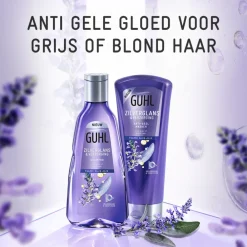 Haarverzorging|Shampoo<Guhl Zilverglans - Shampoo 1x 250 ml & Haarmasker 1x 200 ml - Pakket