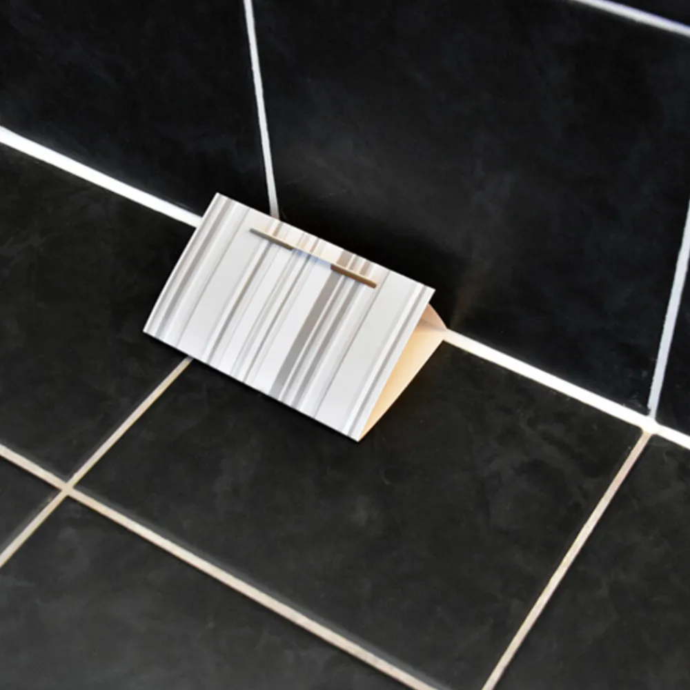 Sale X Zilvervisjesval Ongediertebestrijding