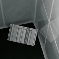 Sale X Zilvervisjesval Ongediertebestrijding