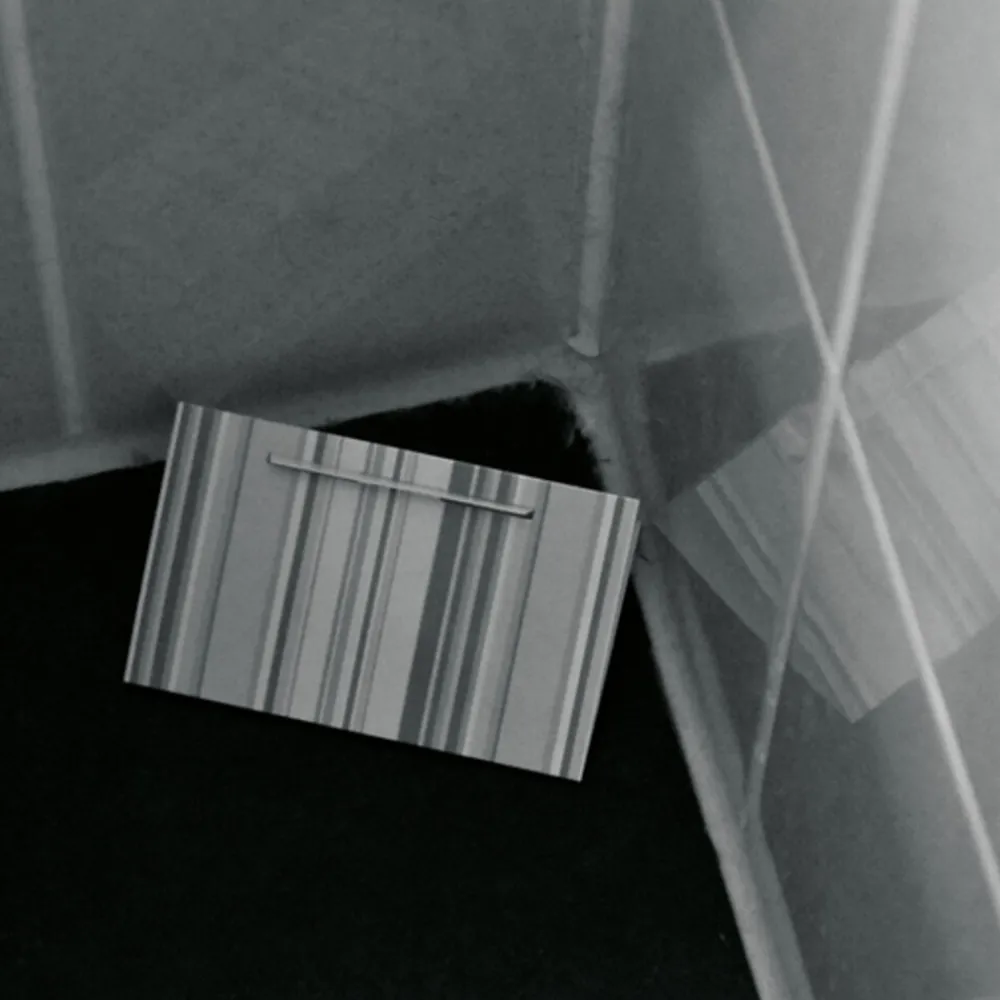 Sale X Zilvervisjesval Ongediertebestrijding