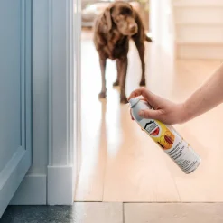 Ongediertebestrijding|Insecten & Ongedierte<Home Defense Mieren en Kruipend Ongedierte Spray 400 ml