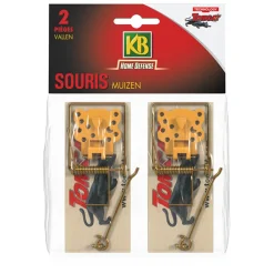 Clearance Muizenval Classic 2 stuks Ongediertebestrijding