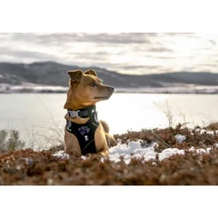 Weekend Warrior Harness Zwart 80 - 100 cm^Hurtta