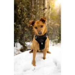 Weekend Warrior Harness Zwart 80 - 100 cm^Hurtta