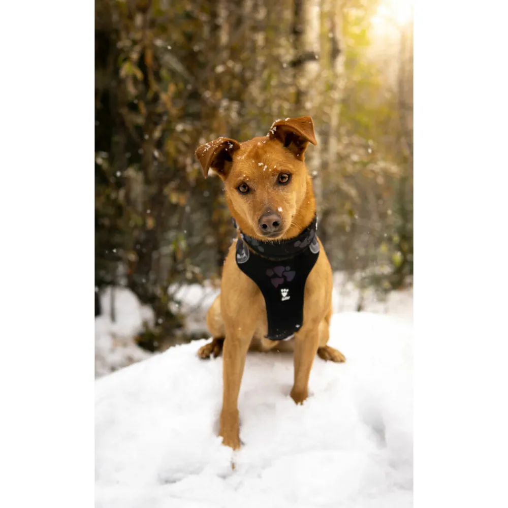 Weekend Warrior Harness Zwart 80 - 100 cm^Hurtta