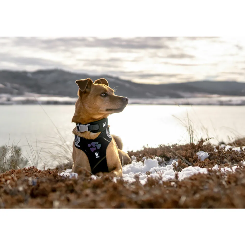 Halsbanden & Uitlaten<Hurtta Weekend Warrior Harness Zwart 45 - 60 cm