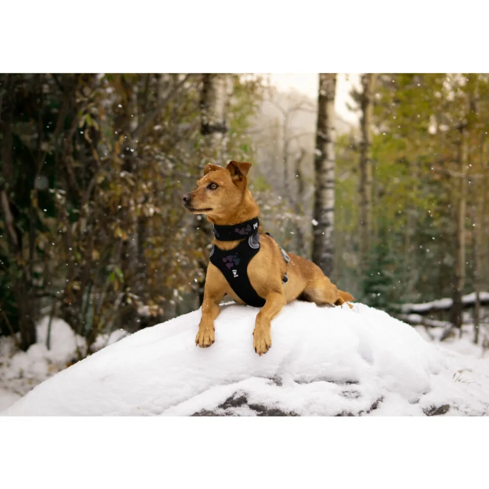 Halsbanden & Uitlaten<Hurtta Weekend Warrior Harness Zwart 45 - 60 cm