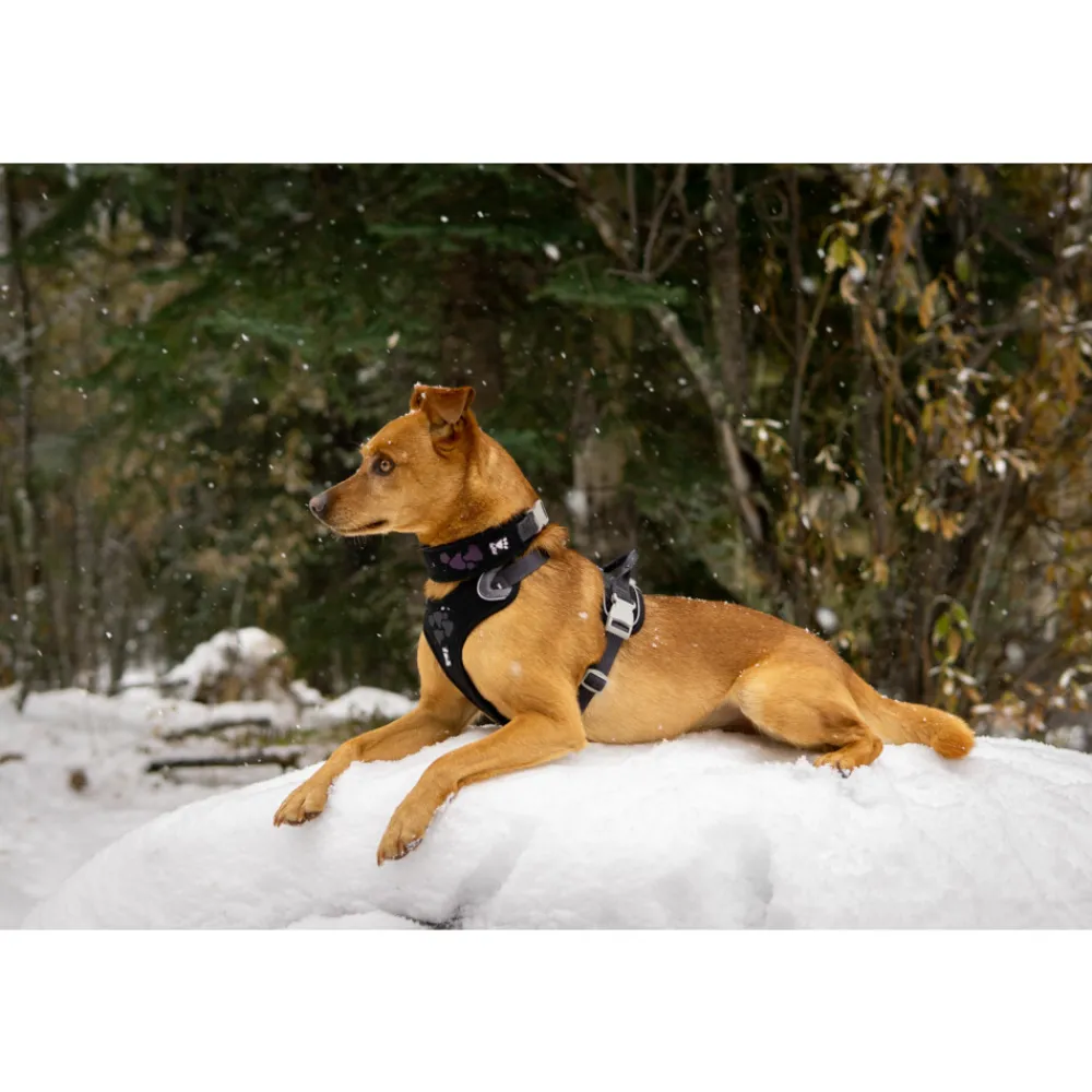 Halsbanden & Uitlaten<Hurtta Weekend Warrior Harness Zwart 45 - 60 cm