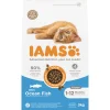 Kattenvoer<IAMS Cat Kitten Ocean Fish 3 kg