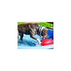 Speelgoed<Jolly Pets Egg Rood 30 cm