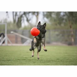 Soccer Ball Oranje ø 20 cm^Jolly Pets Discount