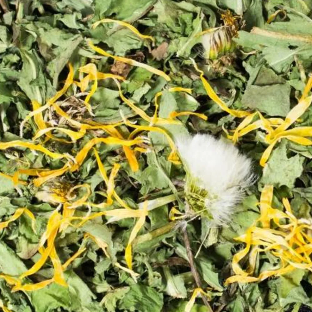 Snacks<JR Farm Paardenbloemen 100 gr