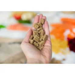 Hondenvoer<Kivo Zalm & Rijst Glutenvrij 14 kg