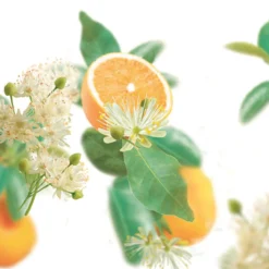 Hot Badolie Pure Harmony Sinaasappel - LindebloesemOntspan en kom tot rust met de ® Badolie Pure Harmony. Het hoge percentage etherische sinaasappelolie en lindebloesemextract in combinatie met de warme oranje kleur van het badwater werkt harmoniserend.Dermatologisch getestNiet parfumvrijPH NeutraalProefdiervrijVeganGeschikt voor alle huidtypen Gevarenaanduidingen Ontvlambaar Milieugevaarlijk Zeer licht ontvlambaar gas. Zeer licht ontvlambare aerosol. Zeer licht ontvlambare vloeistof en damp. Licht ontvlambare vloeistof en damp. Ontvlambare vaste stof. Ontvlambare aerosol. Ontvlambare vloeistof en damp. Zeer giftig voor in het water levende organismen. Zeer giftig voor in het water levende organismen, met langdurige gevolgen. Giftig voor in het water levende organismen, met langdurige gevolgen. Aanvullende informatie Hoe te gebruiken?Schroefdopje 1 keer vullen en badolie toevoegen aan het water (36-38ºC). Duur van het bad: 15-20 min. Dopje omspoelen.Ingrediënten:Polysorbate 20, Aqua (Water), Limonene, Linalool, Citrus Aurantium Dulcis (Orange) Peel Oil, Citrus Aurantium Amara (Bitter Orange) Leaf/Twig Oil, Parfum (Fragrance), Tilia Cordata Flower Extract, Geraniol, Citral, Citronellol, Benzyl Salicylate, Eugenol, Caprylic/Capric Triglyceride, Tocopherol, CI 15985. Ingrediënten Polysorbate 20, Aqua (Water), Limonene, Citrus Aurantium Amara (Bitter Orange) Oil, Parfum (Fragrance), Linalool, Citrus Aurantium Dulcis (Orange) Oil, Tilia Cordata Flower Extract, Citronellol, Benzyl Benzoate, Geraniol, Farnesol, Eugenol, Citral, Tocopherol, CI 15985. Bevat geen:conserveringsmiddelen Fabrikant informatie Merk: Ean: 4008233068428 Artikel: 043-107 Fabrikant gegevens: Adres: Vliegend Hertlaan 49 3526 KT Utrecht Nederland Contactgegevens: Tel: 030 281 3300 Email: [email protected] Website: https://www..com Reviews Schrijf jouw review Hoe controleren en plaatsen wij reviews? Plein plaatst enkel reviews van klanten en personen die het product daadwerkelijk gebruikt hebben, ook wanneer deze negatief of neutraal is. Voordat de review geplaatst wordt controleren we handmatig of deze écht is en voldoet aan onze reviewvoorwaarden. Wanneer het product op Plein gekocht is vermelden we dat bij de review. Plein betaalt niet voor reviews, wanneer een reviewer door een andere partij is vergoed staat dit erbij vermeld. Door Elien op 1 september 2022 | Heeft dit product gekocht Deze review is geschreven bij product Badolie Soft Skin Amandelbloesem 100 ml Verrukkelijke badolie met heerlijke geur en lekkere olie geen Super lekkere badolie Oorspronkelijk geplaatst op plein.nl Door Lydia Maria op 13 mei 2020 | Heeft dit product gekocht Deze review is geschreven bij product Badolie New Energy Rozemarijn 100 ml Zalig badmoment met deze olie Lekker genieten Heerlijke geur Super zacht en voedend voor de huid Mag ietsje beterkoop daar je in verhouding meer verbruikt dan badcreme of badschuim Heerlijk relaxen en tegelijk je huid laten verwennen met deze badolie van Oorspronkelijk geplaatst op plein.nl Door Morvenna op 17 december 2014 | Heeft dit product gekocht Deze review is geschreven bij product Badolie Relaxing Lavendel 100 ml Lekkere badolie, vooral in de winter als het koud is, kan je heerlijk ontspannen. Al een paar jaar mijn favoriet. Oorspronkelijk geplaatst op plein.nl Door Els op 11 december 2014 | Heeft dit product gekocht Deze review is geschreven bij product Badolie Refreshing Eucalyptus 100 ml Heerlijk na een week drukte Frisse geur Lichaam en geest komen tot rust erg lekkere badolie. Als ik het een weekje druk gehad heb kan ik altijd heerlijk relaxen door de frisse geur. Echt een aanrader Oorspronkelijk geplaatst op plein.nl Bekijk alle reviews Badolie Pure Harmony Sinaasappel - Lindebloesem 100 ml Bad & Douche|Bad & Douche