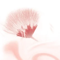 Clearance Douche Foam Silky Secret 200 ml Bad & Douche