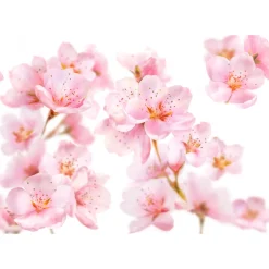 Douche Foam Soft Skin Amandelbloesem 200 ml Bad & Douche|Bad & Douche