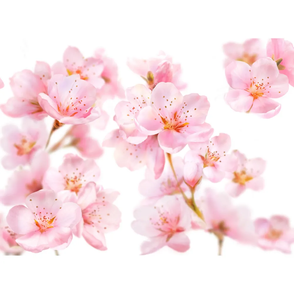 Douche Foam Soft Skin Amandelbloesem 200 ml Bad & Douche|Bad & Douche