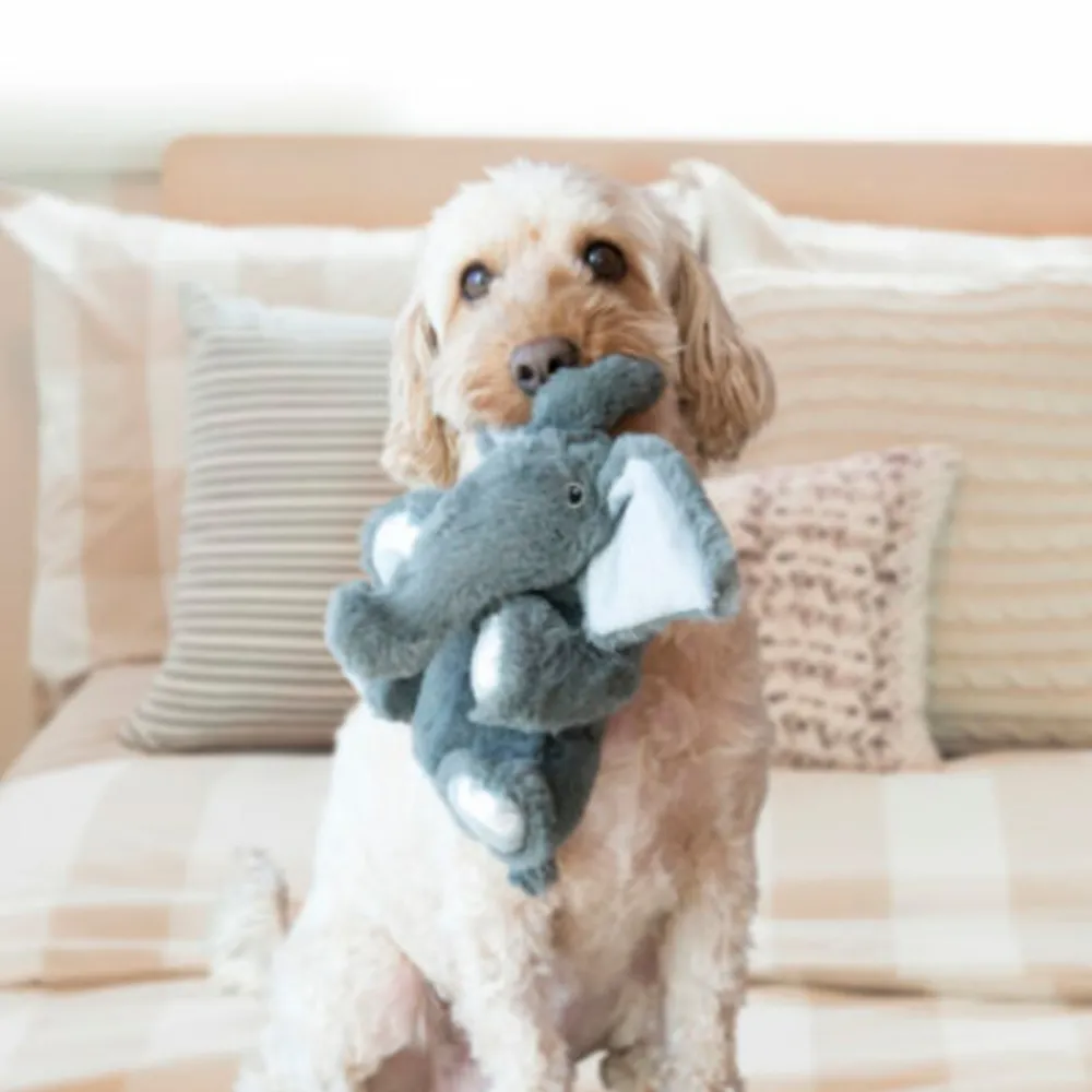 Speelgoed<Kong Comfort Kiddos Olifant XS