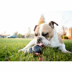 Outlet Extreme Zwart M Speelgoed