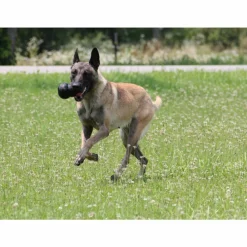 Sale Extreme Zwart XL Speelgoed