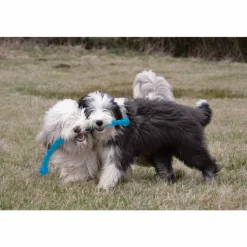 Speelgoed<Kong Safestix S