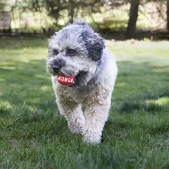 Speelgoed<Kong Signature Balls M 2 stuks