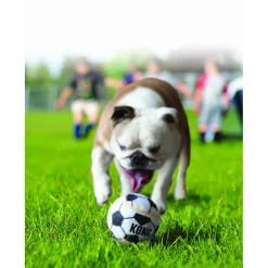 Sportballen L 2 stuks^Kong Discount