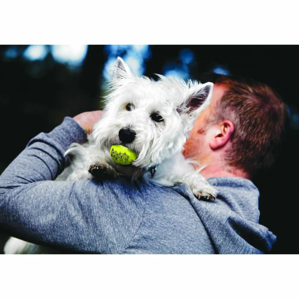 Speelgoed<Kong Squeakair Tennisbal Multipack L 2 stuks