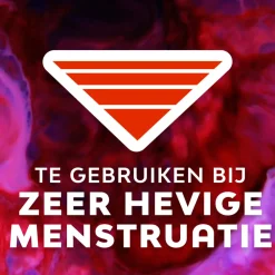 Best Ultra Goodnight Maandverband met Vleugels 10 stuks Intiemhygiëne