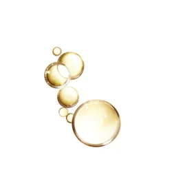 Haarverzorging<LOréal L'Oréal Elvive Extraordinary Oil Haarolie 100 ml