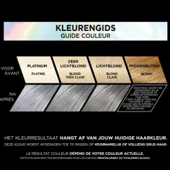 L'Oréal Preference Vivids Permanente Haarkleuring 10.112 Silver Grey^LOréal Hot