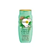 Discount Kokos en Groene Thee Shampoo 250 ml Shampoo