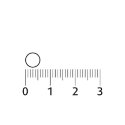 Clearance Melatonine Puur Kids 30 zuigtabletten Speciale Bestanddelen