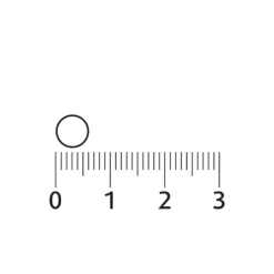 Outlet Melatonine Puur 0,299mcg 200 tabletten Speciale Bestanddelen