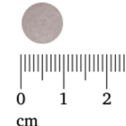 Hart, Bloed & Cholesterol<Lucovitaal Zwarte Knoflook Forte 60 tabletten