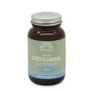 Liposomaal Glutathion 60 capsules^Mattisson Online
