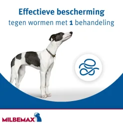 Ontworming Tabletten Hond 5 - 75 kg 2 tabletten^Milbemax Online
