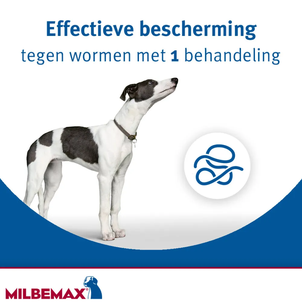 Ontworming Tabletten Hond 5 - 75 kg 2 tabletten^Milbemax Online