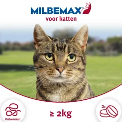 Discount Ontworming Tabletten Kat 2 - 8 kg 2 tabletten Vlo, Teek & Worm