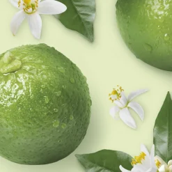 Allesreiniger Bergamot 1 liter^Mr. Propre Best